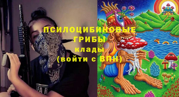 ешки Белокуриха